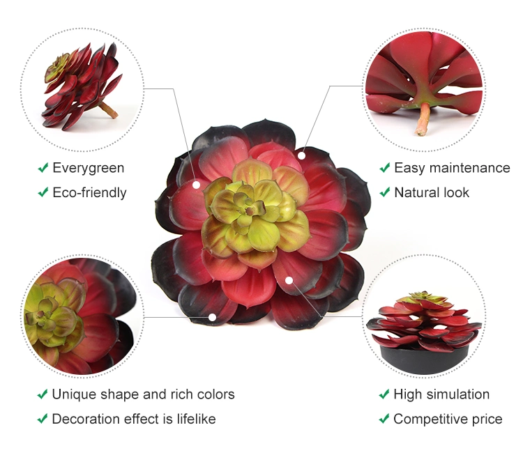 Wholesale Price Indoor Office Decorative Earth Friendly Mini Succulent for Coffee Table